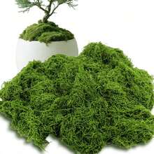 200/100/50g Artificial Moss Decoration - Realistic Greenery - Perfect For Micro Landscapes, Window Decor, And Design Layouts,Faux Moss Bionic Artificial Moss, Green Moss Micro Landscape Decor, DIY Green Plant For Lawn Potted Plant Paving Landscape Decoration, Outdoor Garden Yard Decor,Fake Plants ﻿
