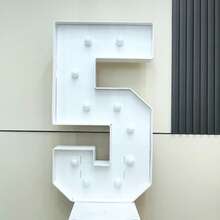 1 件 73 厘米/28.7 英寸发光数字跑马灯框白灯 KT 板数字 0-9 插入式 KT 板派对装饰灯生日派对周年装饰 - 冷白光 - 白色 - 查看 21