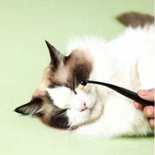 Gentle Silicone Dog Tear Stain Remover Brush - Small Pet Eye Cleaning Tool With Soft Bristles For Puppies & Dogs, Ideal For Grooming & Bathing, Dog Grooming - 彩色 - 查看 4