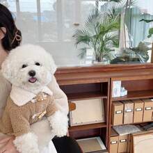 1 Pieza - Un abrigo de plumas adecuado para perros y gatos de tamaño pequeño a mediano. Un abrigo grueso y cálido para perros y gatos con cordón. Ropa para cachorros pequeños de Teddy, Yorkshire Terrier y Bichón Frisé en otoño e invierno.