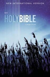 Pre-Owned NIV, Outreach Bible, Large Print, Paperback (Paperback) By Zondervan - Single Book - View 1
