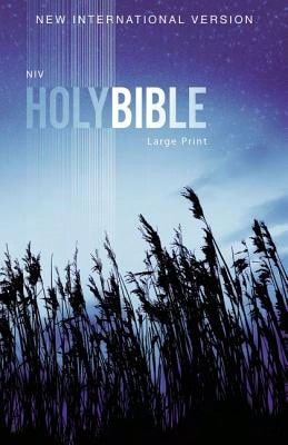 Pre-Owned NIV, Outreach Bible, Large Print, Paperback (Paperback) By Zondervan - Single Book - View 1