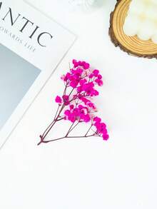 25/50/100/200/300 buc flori artificiale albe uscate, respirația bebelușului, umplutură pentru vaze cu flori fildeș pentru nuntă, casă, birou, petrecere, grădină, confecționare de felicitări, decor DIY