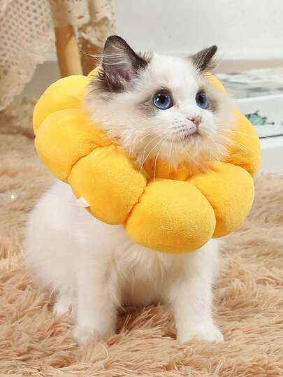 1件装柔软向日葵造型伊丽莎白圈，宠物适用 - 防舔防抓，猫狗通用，舒适头部配件 - 可调节，易于佩戴，防止舔舐和抓挠造成的伤害，宠物用品，猫咪用品