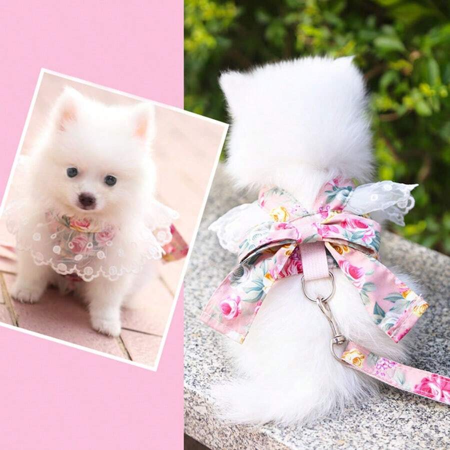 Cute Dog & Cat Pet Supplies Clothes, Cat Leash With Bowknot, Dog Harness, Dog Walking Leash - Multicolor - View 1