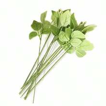 10/20/30/40 件印花绿色铁丝花茎，花店花束包装材料，家居装饰人造花茎 - 綠色 - 查看 9