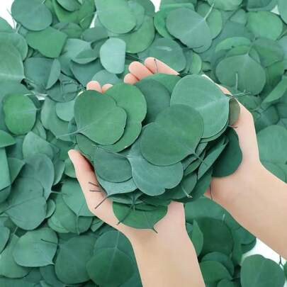 299pcs Real Eucalyptus(Apple) Leaves Bulk Preserved Green Leaves Centerpieces Table Decor Petals For Wedding Wreath