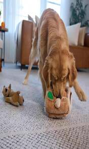 Outward Hound Hide A Squirrel Plush Dog Toy Puzzle, XL - ColorD - 查看 7