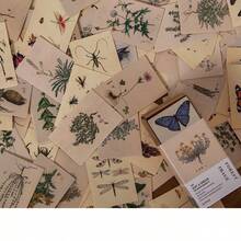 100pcs/Pack Vintage Forest Animal & Insect Mini Memo Notes, Double-Sided Decorative Paper, Scrapbooking Supplies, School Stationery, Retro English Phrases, Floral, Butterfly, Journaling, DIY Background Material - Multicolor - View 15