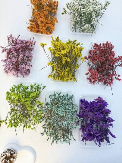 1 Box 33g/1.29oz Dried Crystal Grass Flowers, 100+ Carefully Selected Natural Plant Flowers, Rich Colors Embracing Nature, Long-Lasting, Suitable For DIY Craft Materials, DIY Fragrance Decor, Handmade Candle Decor, Handmade Soap Decor, Wedding Decor, Home Tabletop Decor