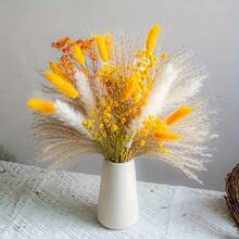 50/100 支蒲苇草茎，适合用作花瓶填充物 - 波西米亚婚礼花瓶装饰、圣诞节、冬季和春季装饰、情人节餐桌摆饰