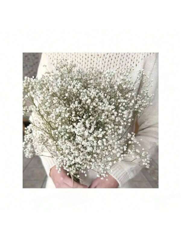 40/70g Gypsophila Dried 2000+ Natural Gypsophila Dried Flowers Flower Bud Real Dried Flower Bouquet For Wedding Bridal Bouquets Vases Pampas Grass Decoration (White)