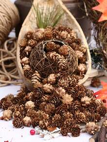 50 pièces - Petites décorations de Noël en pomme de pin, 2-3 cm (0,8-1,9 po) Petites décorations de pomme de pin pour Thanksgiving, cônes de pin mini naturels, convenant pour la table, la décoration de la maison, le remplissage de vase, l'artisanat de pomme de pin DIY, la décoration du festival d'automne