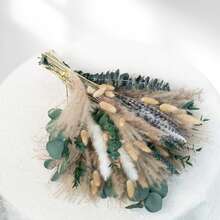 50/100 支蒲苇草茎，适合用作花瓶填充物 - 波西米亚婚礼花瓶装饰、圣诞节、冬季和春季装饰、情人节餐桌摆饰