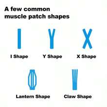 Waterproof Kinesiology Tape Suitable For Muscle Protection Bandages During Sports And Fitness(2.5cm*5m)