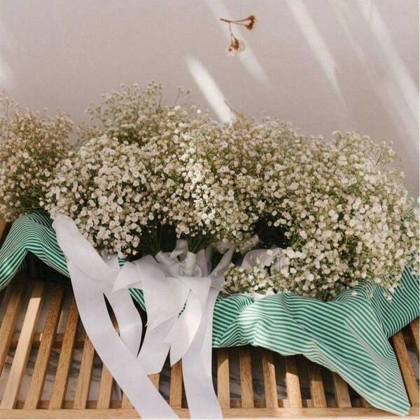 40/70g Gypsophila Seca 2000+ Flores Secas Naturais de Gypsophila Botão de Flor Flor Seca Real Buquê para Casamento Buquês de Noiva Vasos Decoração de Grama das Pampas (Branco)