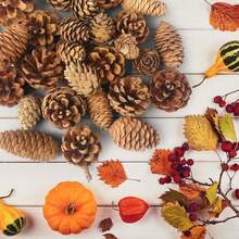 50 pièces - Petites décorations de Noël en pomme de pin, 2-3 cm (0,8-1,9 po) Petites décorations de pomme de pin pour Thanksgiving, cônes de pin mini naturels, convenant pour la table, la décoration de la maison, le remplissage de vase, l'artisanat de pomme de pin DIY, la décoration du festival d'automne