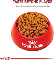 Royal Canin Croquetas para Perros Peque?os, Mini Mature +8, 1.1 kg (El empaque puede variar) - negro - Ver 6