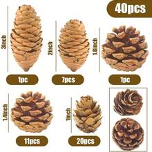 50 pièces - Petites décorations de Noël en pomme de pin, 2-3 cm (0,8-1,9 po) Petites décorations de pomme de pin pour Thanksgiving, cônes de pin mini naturels, convenant pour la table, la décoration de la maison, le remplissage de vase, l'artisanat de pomme de pin DIY, la décoration du festival d'automne
