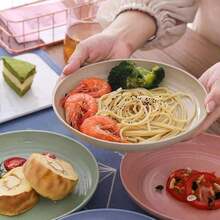 小麦纤维圆盘，不易破碎的塑料水果盘，加厚餐具盘，批发 - 彩色 - 查看 3