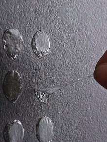 50/200/500/1000pcs Double-Sided Balloon Stickers For Wedding Decoration,Birthday Party , Christmas Decoration,Transparent, Easy To Tear, No Trace