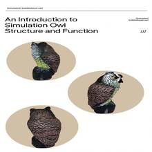1 قطعة، نافرة البوم ذات الرأس الدوار، طارد الطيور البلاستيكي، تصميم مكافحة الآفات الخارجية لحماية الحديقة، ديكورات خارجية، لطرد السناجب والفئران! مثالية لحديقتك أو شرفتك أو شرفتك
