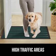 Carpets - Green Stripe - View 7