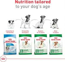 Royal Canin Croquetas para Perros Peque?os, Mini Mature +8, 1.1 kg (El empaque puede variar) - negro - Ver 5