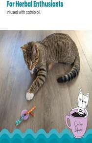 Catstages Dental Strawberry Teether, Soft And Textured Cat Chew Toy, Catnip Oil Coating, Pink - MàuC - Xem 4