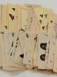 100pcs/Pack Vintage Forest Animal & Insect Mini Memo Notes, Double-Sided Decorative Paper, Scrapbooking Supplies, School Stationery, Retro English Phrases, Floral, Butterfly, Journaling, DIY Background Material - Multicolor - View 3