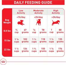 Royal Canin Croquetas para Perros Peque?os, Mini Mature +8, 1.1 kg (El empaque puede variar) - negro - Ver 8