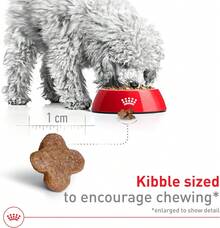 Royal Canin Croquetas para Perros Peque?os, Mini Mature +8, 1.1 kg (El empaque puede variar) - negro - Ver 4