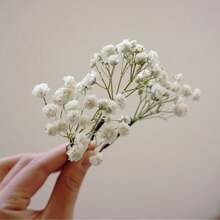 2-25pcs/Set Gypsophila Flower Hair Clips, Carnation Flower Hair Clips, Gypsophila Bridal Hair Clips, Bridal Hair Accessories, Dried Flower Hair Clips - White Green Baby's Breath - View 4