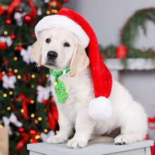 Adjustable Christmas Pet Bow Tie, Santa Claus, Christmas Tree, Snowman Designs, Suitable For Small Dogs And Cats, Pet Accessories For Christmas Eve Party Decoration