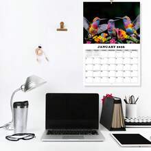 2026-2027 Butterfly Wall Calendar - 13-Month Coated Paper Calendar With Vibrant Butterfly And Floral Designs, 11.3x8.3 Inches, Weekly And Monthly Views, Hanging Hole, English Language, Suitable For Home, Office Or Classroom Organization, Butterfly Decor