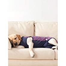 狗狗康复服腹部伤口小狗手术服术后背心宠物术后穿戴替代电子项圈和锥形 - 彩色 - 查看 10