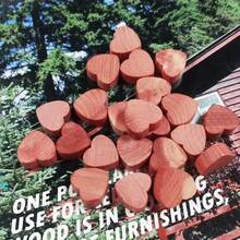 10pcs Cedar Wood Block Assortment For Closet Storage Stop Clothes Damage, Wardrobe Freshener, Moth Repellent, Insect/Pest Control, Home, Bathroom, Wardrobe Essential