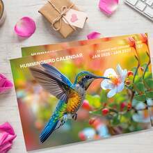 2026-2027 Butterfly Wall Calendar - 13-Month Coated Paper Calendar With Vibrant Butterfly And Floral Designs, 11.3x8.3 Inches, Weekly And Monthly Views, Hanging Hole, English Language, Suitable For Home, Office Or Classroom Organization, Butterfly Decor