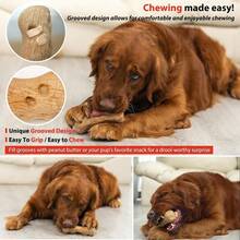 Willjoy Dog Chew Toys For Aggressive Chewers, Tough Dog Toys For Aggressive Chewers, Pine Wood And Nylon Indestructible Dog Toy, Bacon Flavor Large Dog Toys To Keep Them Busy - 2 件裝 DuraDumbs - 查看 6