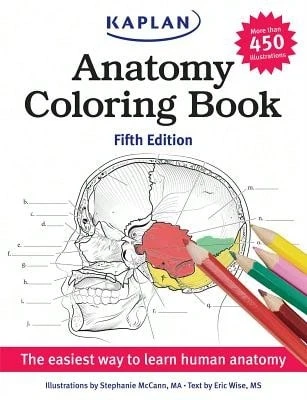 Pre-Owned Anatomy Coloring Book (Paperback) By Stephanie McCann, Eric Wise
