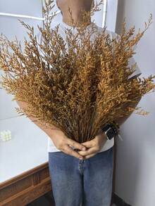 20/40/80/120克 20英寸橙黄色蒲苇干花束，波西米亚风婚礼装饰，秋冬花瓶填充物，适用于家居装饰、婚礼装饰、农舍造型、DIY工艺品、蒲苇装饰，非常适合圣诞节、万圣节派对