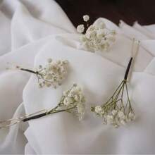 2-25pcs/Set Gypsophila Flower Hair Clips, Carnation Flower Hair Clips, Gypsophila Bridal Hair Clips, Bridal Hair Accessories, Dried Flower Hair Clips - White Green Baby's Breath - View 7
