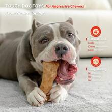 Willjoy Dog Chew Toys For Aggressive Chewers, Tough Dog Toys For Aggressive Chewers, Pine Wood And Nylon Indestructible Dog Toy, Bacon Flavor Large Dog Toys To Keep Them Busy - 3 件裝 DuraDumbs - 查看 3