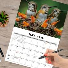 2026-2027 Butterfly Wall Calendar - 13-Month Coated Paper Calendar With Vibrant Butterfly And Floral Designs, 11.3x8.3 Inches, Weekly And Monthly Views, Hanging Hole, English Language, Suitable For Home, Office Or Classroom Organization, Butterfly Decor