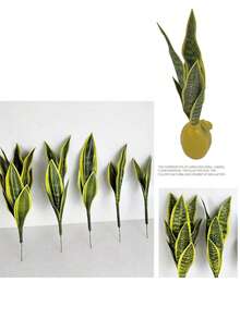 1pc仿真黄边虎皮兰植物人造蛇皮兰热带绿植剑兰假花桌面摆件家居盆景装饰（不含盆） - 綠色 - 查看 5