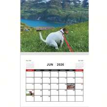 1 szt. Kalendarz na 2026 rok z okazji Dnia Psiej Kupy – Planer miesięczny, przedstawiający osobliwe sceny z psami w naturze, miesięczny planer ścienny, odpowiedni do domu lub biura - Wielokolorowe - Zobacz 3