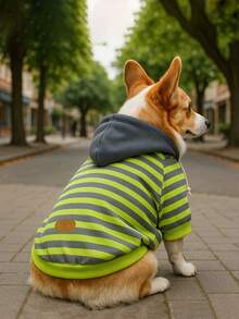 1 件基本款条纹宠物连帽衫，带精致皮革标签，适合中小型犬，柔软舒适的法国斗牛犬幼犬服装 - 橘色 - 查看 6