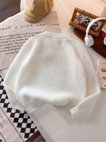 Boys' Simple English Letter Embroidery Knit Pullover Sweater, Suitable For Casual Everyday Wear, Spring/Autumn/Winter - Apricot - View 3