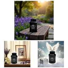 Medium + Angel Wings