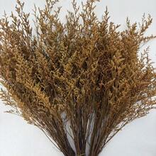 20/40/80/120克 20英寸橙黄色蒲苇干花束，波西米亚风婚礼装饰，秋冬花瓶填充物，适用于家居装饰、婚礼装饰、农舍造型、DIY工艺品、蒲苇装饰，非常适合圣诞节、万圣节派对